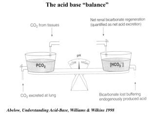 Abelow, Understanding Acid-Base, Williams &amp; Wilkins 1998