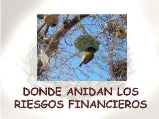 DONDE ANIDAN LOS RIESGOS FINANCIEROS