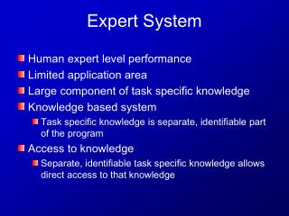 Expert System