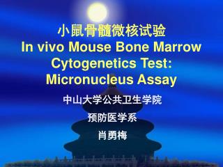 小鼠骨髓微核试验 In vivo Mouse Bone Marrow Cytogenetics Test: Micronucleus Assay