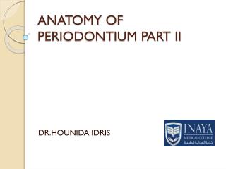 ANATOMY OF PERIODONTIUM PART II