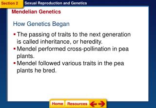 How Genetics Began