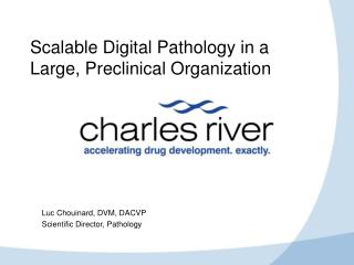 Scalable Digital Pathology in a Large, Preclinical Organization