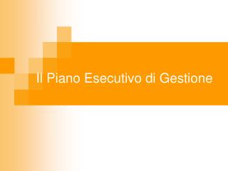 Il Piano Esecutivo di Gestione