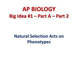AP BIOLOGY Big Idea #1 – Part A – Part 2