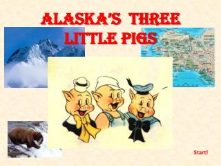 Alaska’s three little pigs