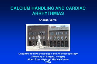 András Varró Department of Pharmacology and Pharmacotherapy University of Szeged, Hungary