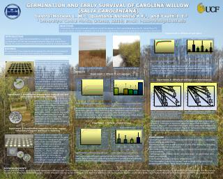 Germination and Early Survival of Carolina Willow ( Salix caroliniana )