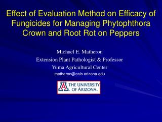 Michael E. Matheron Extension Plant Pathologist &amp; Professor Yuma Agricultural Center
