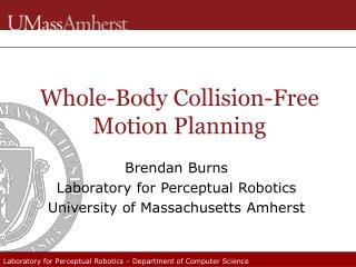 Whole-Body Collision-Free Motion Planning