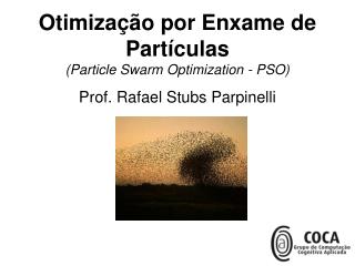 Otimização por Enxame de Partículas (Particle Swarm Optimization - PSO)