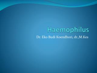 Haemophilus