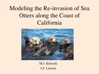 Modeling the Re-invasion of Sea Otters along the Coast of California