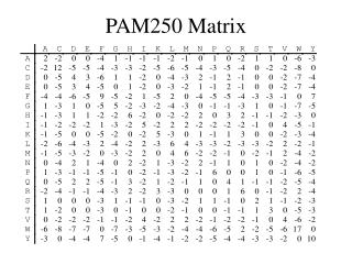 PAM250 Matrix
