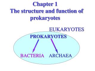 Chapter 1 The structure and function of prokaryotes