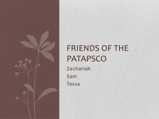 Friends of the Patapsco