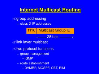 Internet Multicast Routing