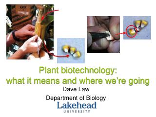 Plant biotechnology: what it means and where we’re going