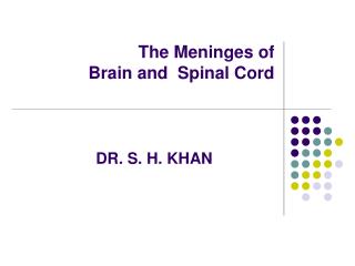 The Meninges of Brain and Spinal Cord