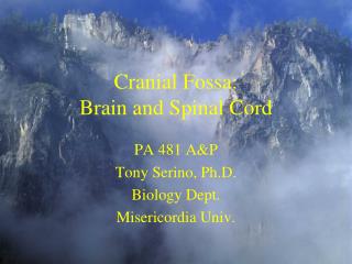 Cranial Fossa: Brain and Spinal Cord