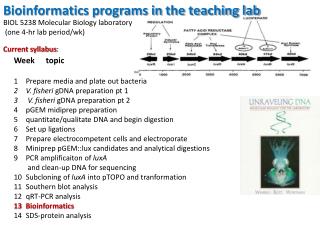 Bioinformatics programs in the teaching lab