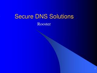 Secure DNS Solutions