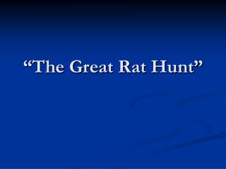 “The Great Rat Hunt”