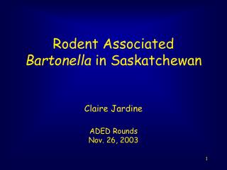 Rodent Associated Bartonella in Saskatchewan