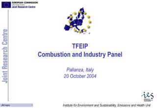 TFEIP Combustion and Industry Panel Pallanza, Italy 20 October 2004