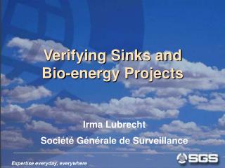 Verifying Sinks and Bio-energy Projects