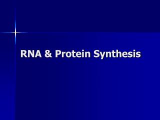 RNA &amp; Protein Synthesis