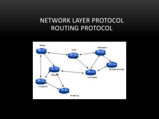 Network Layer Protocol Routing Protocol