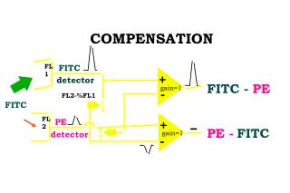 COMPENSATION