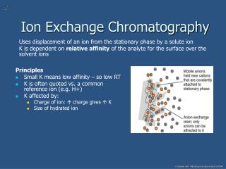 Ion Exchange Chromatography