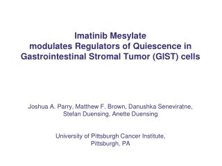 Clinical and experimental findings suggest tumor cell quiescence in imatinib-treated GIST