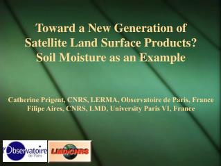 Toward a New Generation of Satellite Land Surface Products? Soil Moisture as an Example