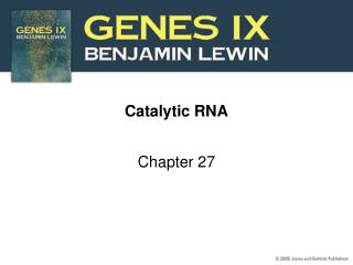 Catalytic RNA