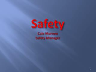 Safety Cale Marrow Safety Manager
