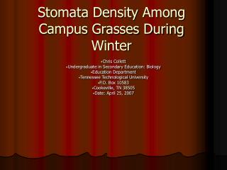 Stomata Density Among Campus Grasses During Winter