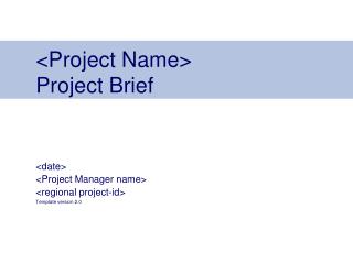 <Project Name> Project Brief