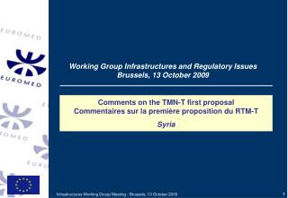 Comments on the TMN-T first proposal Commentaires sur la première proposition du RTM-T Syria