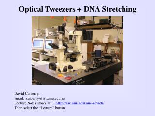 Optical Tweezers + DNA Stretching