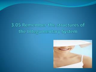 3.05 Remember the structures of the Integumentary System
