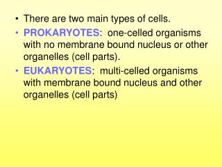 There are two main types of cells.