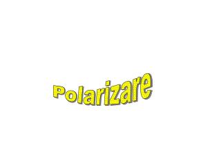 Polarizare