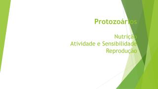 Protozoários Nutrição Atividade e Sensibilidade Reprodução