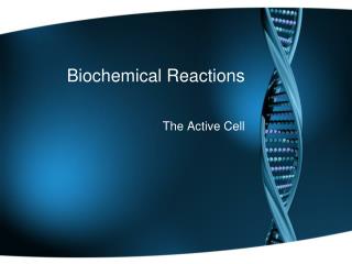Biochemical Reactions