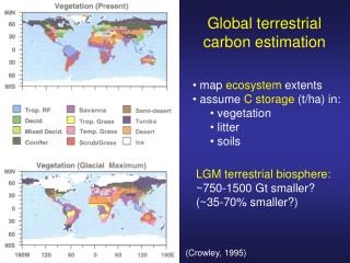 Global terrestrial carbon estimation