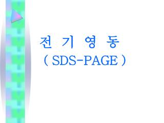 전 기 영 동 ( SDS-PAGE )