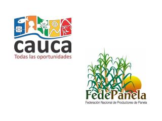 NOMBRE DEL PROYECTO: FORTALECIMIENTO DE LA AGROINDUSTRIA PANELERA EN EL DEPARTAMENTO DEL CAUCA